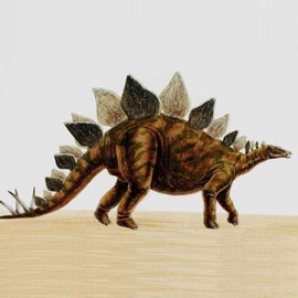 The stegosauras is Colorado’s state dinosaur.