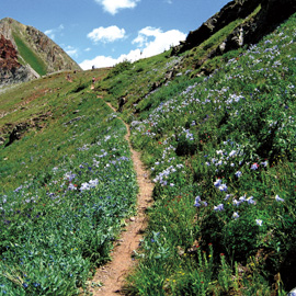 Operations: Colorado Mountain Club Boulder Bookworks